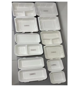 Boîte à lunch jetable durable et écologique 13x6 à clapet, parfaite pour le stockage pratique des aliments à emporter à usage unique - Product Image 5