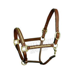 Sports et loisirs> Sports de luxe abordables> Sports> Course de chevaux> Halters Halter pour chevaux - Product Image 2