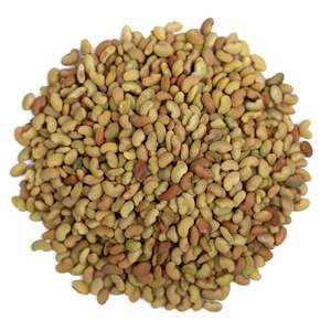 Semillas de Alfalfa Alfa Seeds - Grado Alimenticio Patil Foods - Product Image 1