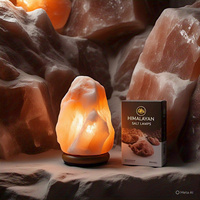 Lampe de sel de l'Himalaya certifiée GMP, 2-3 kg, écologique, décoration intérieure, croix Feng Shui, animaux, fleurs, faite à la main, électrique