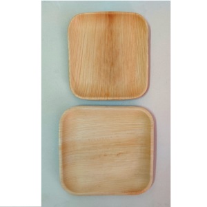 Assiettes jetables biodégradables carrées élégantes, légères, robustes et pratiques pour les fêtes, les événements et l'usage quotidien – Vente chaude - Product Image 1