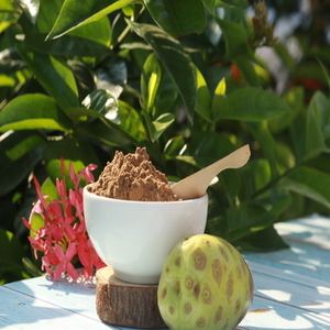Poudre de noni biologique 100% pure et naturelle stimule l'immunité et l'énergie Super aliment de la nature Fabriqué à partir de fruits noni biologiques séchés au soleil - Product Image 3