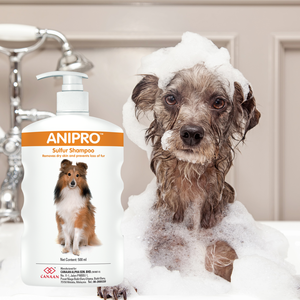 Non Toxic Eco Friendly <b>Pet</b> Essential Treatment for Dog Skin Anipro Sulphur Shampoo Relieves Skin Problems Scabbing Itching - Product Image 1