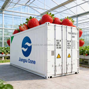 Factory Direct Intelligent Strawberry Cultivation <b>Container</b> with Mobile App Remote Monitoring and Year Round High Yield Tech - Product Image 3