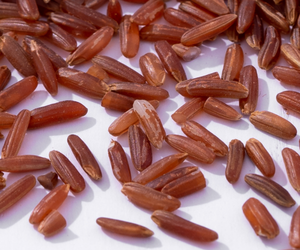 Arroz Rojo Vietnamita de Primera Calidad, Cultivado Naturalmente en una Zona Especial, 5KG 10KG 25KG 50KG BOPP/PP/PAPE - Product Image 2