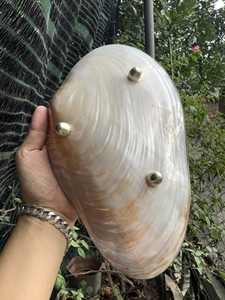 Assiette en nacre faite à la main du Vietnam plat de service décoratif en coquillage pour table à manger et décoration intérieure élégante - Product Image 5