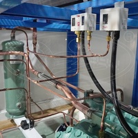 Unité de condensation à compresseur semi-hermétique de type V refroidi par air pour chambres froides et congélateurs