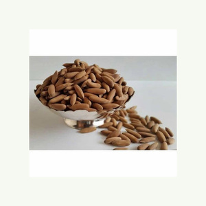 Nuez de pino abierto a granel barato orgánico/semilla de pino/piñones con cáscara Gud Nature Pine Nuts Wild Pine Nuts Organic Pine Nuts Kernels With - Product Image 4