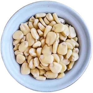 Maíz blanco seco sin OGM/maíz apto para alimentación humana y animal Producto de maíz de alta calidad - Product Image 1