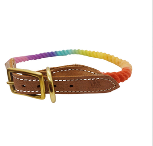 Collar de perro de cuero verde de alta calidad para galgo y Whippet - Product Image 3