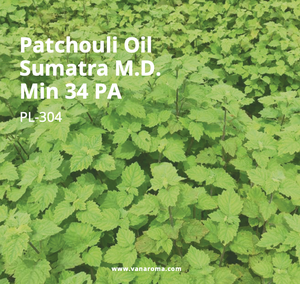 Huile d'aromathérapie de patchouli de haute qualité Sumatra M.D. Min 34 PA (PL-304) Van Aroma - Product Image 1