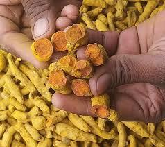 Raíz de cúrcuma secada al sol/cultivada en tierra/proceso limpio/base botánica - Product Image 4