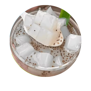 Nata de Coco Gelée de noix de coco de haute qualité Crème de noix de coco délicieuse Crème de noix de coco crue et sirop de haute qualité - Product Image 1