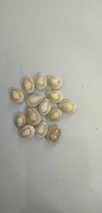 500 g/bolsa de cuentas de concha ovalada Natural blanca sin agujeros encanto cauri Conch cuentas espaciadoras sueltas para fabricación de joyería pulsera DIY - Product Image 4