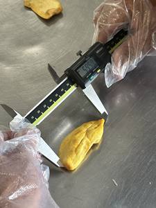 Jackfruit crujiente de grado de exportación de Vietnam con sabor dulce natural Ideal para distribución global y consumidores conscientes de la salud - Product Image 6