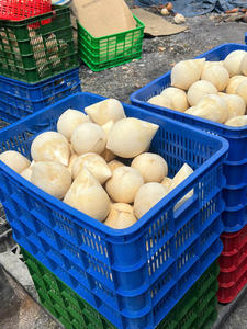 Noix de coco fraîche polie avec le meilleur prix FOB compétitif au Vietnam - Product Image 4