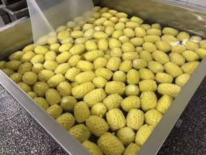 Tranches d'ananas surgelées de qualité export VDELTA en provenance du Vietnam |   Direct du fabricant - Product Image 4