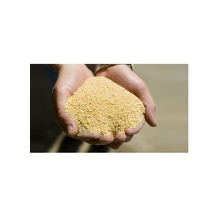 Harina de Soja Económica en Venta, Alimento con Alto Contenido de Proteínas, Ideal para Aves de Corral, Ganado, Animales, Cría de Ganado - Product Image 3