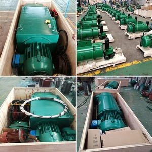 Electric Double Speed 1 Ton 2 Ton 3 Ton 5 Ton 7.5 Ton 10 Ton 25 Ton 30 Ton Electric <b>Wire</b> Rope Hoist with Hook - Product Image 5