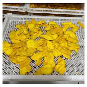 Soft Dried Mango Natural chewy mango slices for snack mixes and bakery ingredient supply Vietnam origin - Product Image 1