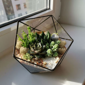 Terrarium en verre de table en métal et en verre pour mariage et fêtes événementielles Terrarium en verre décoratif Décoration d'intérieur fini noir - Product Image 4