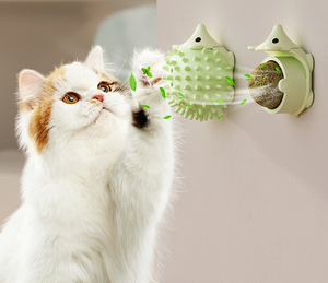 Juguete para Gatos con Bola de Catnip en Forma de Erizo - Juguete Interactivo para Masticar, Limpieza Dental, Ligero, Ecológico, Reutilizable, de Plástico para Gatos y Pájaros - Product Image 3