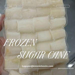 CAÑA DE AZÚCAR CONGELADA COMÚN Granel IQF KMI 10kg - Product Image 4