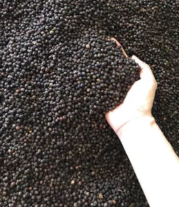 Vietnam Black Pepper Agriculture Products from the Land of Spices