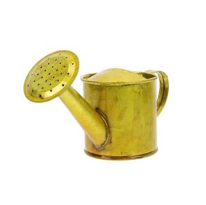 Mejor forma Nuevo diseño regadera botella de agua Hierro metal Terminado lata de agua a precio al por mayor Artesanías - Product Image 2