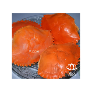 เปลือกหอยปูจากทะเล13ซม. ราคาถูก - Product Image 1