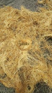 Toutes les algues naturelles organiques séchées au soleil Gracilaria pour l'exportation en vrac faisant de la gélatine - Product Image 5