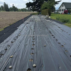 Thương mại Nhà Kính sân vườn rào cản Vải <span class=keywords><strong>polypropylene</strong></span> vải Weed kiểm soát dệt vải địa kỹ thuật vải chống Weed mat - Product Image 4