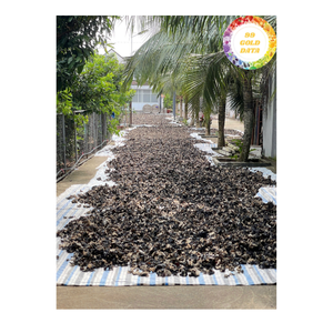 Premium Dried Black Fungus from Vietnam Natural Wood Ear Mushroom for Asian Cuisine and Cooking Use - Product Image 1