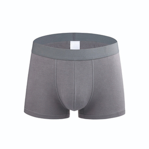 Sous-vêtements pour hommes, slips respirants sexy à taille mi-haute, boxer en nylon de haute qualité, logo personnalisé, marques classiques en élasthanne - Product Image 2