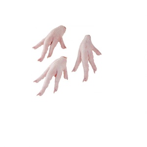 อุ้งเท้าไก่แช่แข็งพร้อมการตรวจสอบและรับรองคุณภาพอย่างเข้มงวด - Product Image 3