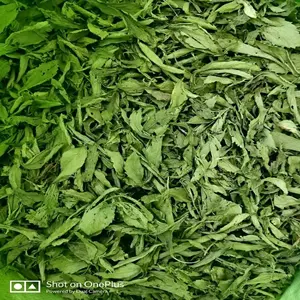 Pasokan pabrik daun Stevia manis kering 100% herbal alami | Gula alami | Nol pemanis kalori | 100% bebas gula