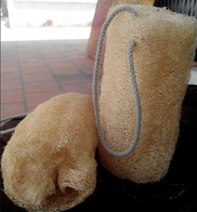 Esponja de lufa redonda de cuerpo Natural más vendida con forma personalizada/esponja de lufa Natural masajea el cuerpo mientras se baña - Product Image 4