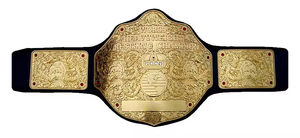 เข็มขัดแชมป์เหล็กแบบปรับแต่งได้สำหรับมวยคาราเต้ MMA แบบเป็นมิตรกับสิ่งแวดล้อมดีไซน์เอวสูงสีทองมีให้เลือก - Product Image 5