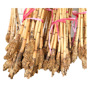 Singapore Best Price Furniture and Handicrafts Wholesale High Quality Natural Raw <b>Rattan</b> <b>Cane</b> Material Made From Singapore - Product Image 5