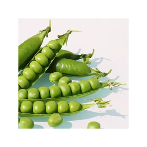 ราคาถูก คุณภาพดีที่สุด ถั่วนกพิราบทั้งเม็ด ถั่วนกพิราบทั้งเม็ด - Product Image 5