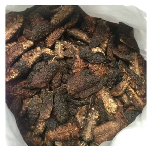 FRUTA NONI SECA SUPERIOR DE VIETNAM-CALIDAD ORGÁNICA PREMIUM PARA EXPORTACIÓN A GRANEL - Product Image 6