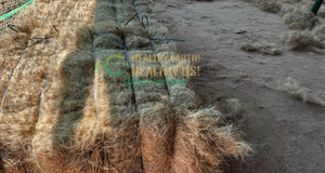 Eco2go Fibre de coco crue naturelle de haute qualité du Vietnam pour la construction Fibre de coco de qualité export - Product Image 2