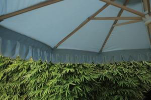 New Arrival Elegant Classic Wooden <b>Frame</b> Blue Parasol Umbrella Manual Control Big Print List Simple Style for Garden Resorts - Product Image 5