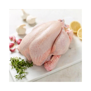 อกไก่แช่แข็งทั้งตัวฮาลาลแช่แข็ง - Product Image 5