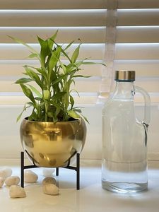 High Quality Metal Planter <b>Pot</b> with Stand for Indoor <b>Table</b> Top Home Decor in Wholesale Price - Product Image 5