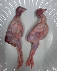 Carcasse de caille fraîche de première qualité, congelée, traitée selon des normes d'hygiène strictes pour les entreprises acheteuses internationales. - Product Image 4