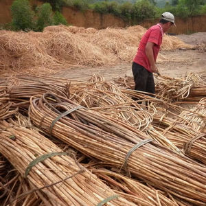 2021 Hot <b>Sale</b> Unpolished <b>Rattan</b> Stick Pole 10mm-40mm Diameter Eco-Friendly Best Economical <b>Furniture</b> Raw PP Natural Crafts - Product Image 1