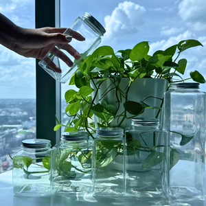 Botella Cuadrada de Plástico PET de Tamaño Personalizado Premium con Tapa de Rosca, Fabricante Tinh Dieu Vietnam, Proveedor Mayorista, Muestra Gratuita - Product Image 1