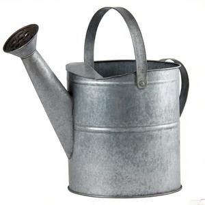 Floral Embossed Watering Jug in Galvanised Finish with Soft <b>Sprinkler</b> Spray <b>Head</b> to Gently Nourish Seedlings and Herbs - Product Image 4