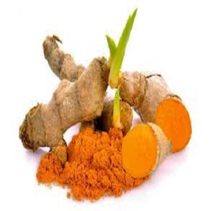Hindistan'dan en iyi fiyata saf ve organik zerdeçal tozu Curcumin yüksek kaliteli kök ekstresi tozu - Product Image 3